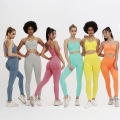 Ginástica de ginástica sem fitness de boa qualidade Wear Wear Yoga Multicolor Fitness &amp; Yoga Wear para mulher